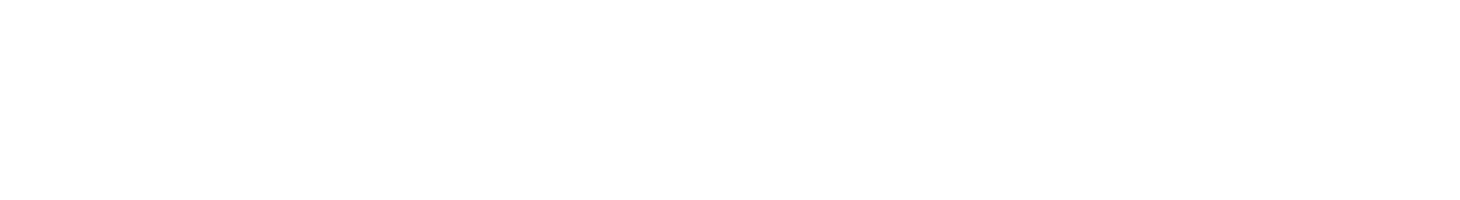 VENTURE AI GERMANY – Bundesverband für KI-Transformation e.V.